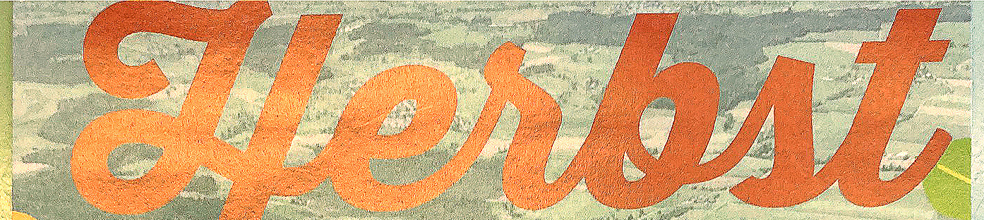gaertnerei-waldispühl_aktuell_header_01